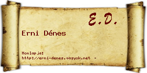 Erni Dénes névjegykártya
